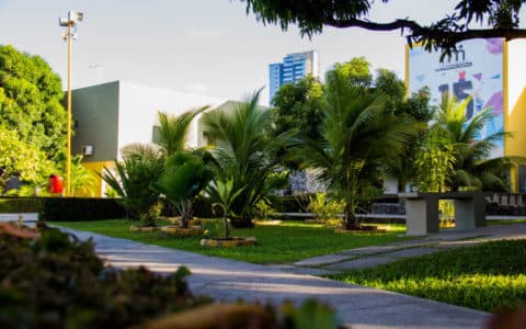 Galeria 2